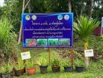 โครงการ 1 อปท. 1 สวนสมุนไพร เฉลิมพระเกียรติฯ